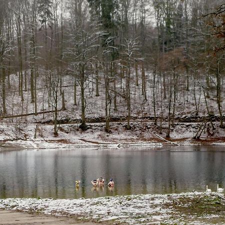 Bosko Domki Z Sauna I Balia W Sulminie Obok Gdanska Buitenkant foto